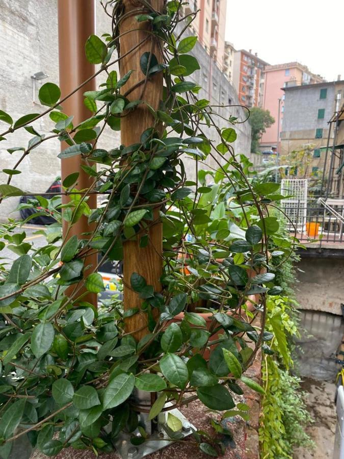 Zena Apartament Appartement Genua Buitenkant foto
